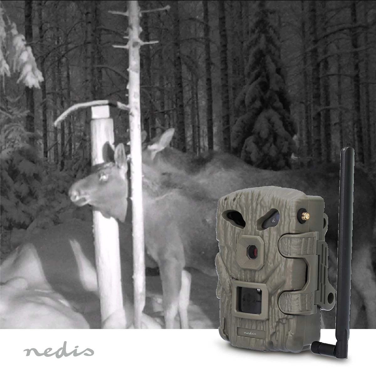 фото Фотопастка Nedis WCAM460GN 3
